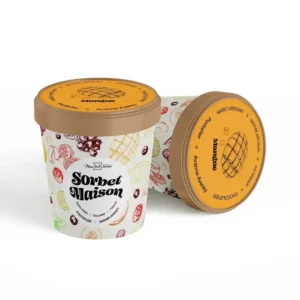 Sorbet - Mangue plein fruits